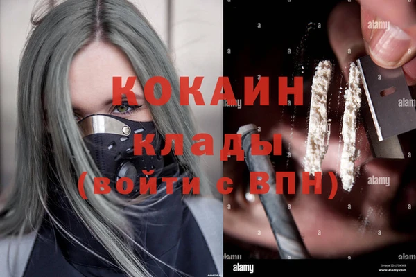 стафф Апатиты