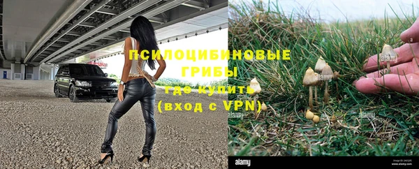 спиды Наволоки