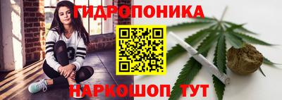 дмт Новокубанск